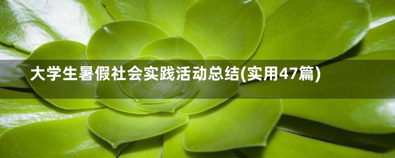 大学生暑假社会实践活动总结(实用47篇)