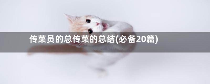 传菜员的总传菜的总结(必备20篇)