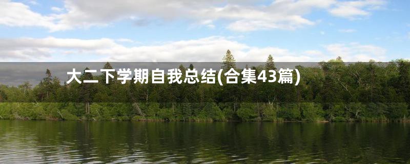 大二下学期自我总结(合集43篇)