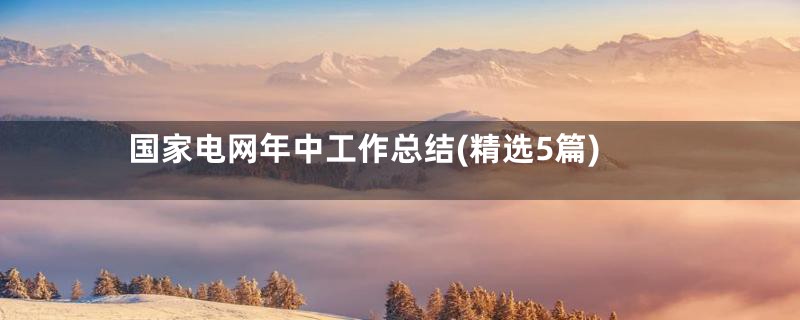 国家电网年中工作总结(精选5篇)