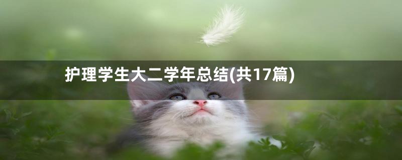 护理学生大二学年总结(共17篇)