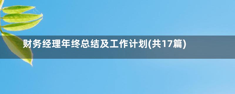财务经理年终总结及工作计划(共17篇)