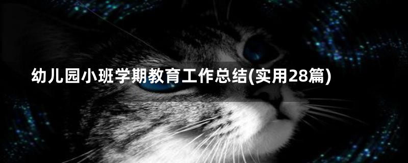 幼儿园小班学期教育工作总结(实用28篇)