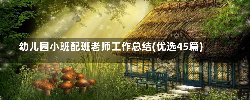 幼儿园小班配班老师工作总结(优选45篇)