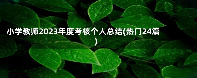 小学教师2023年度考核个人总结(热门24篇)