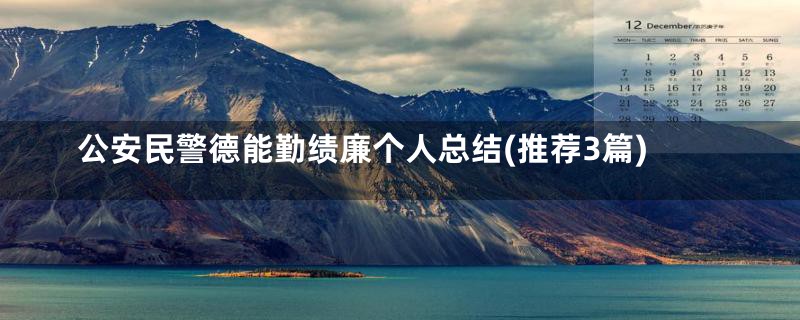 公安民警德能勤绩廉个人总结(推荐3篇)