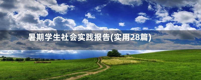 暑期学生社会实践报告(实用28篇)