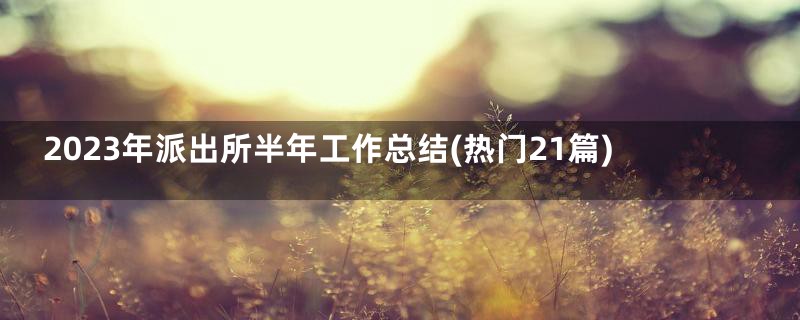 2023年派出所半年工作总结(热门21篇)