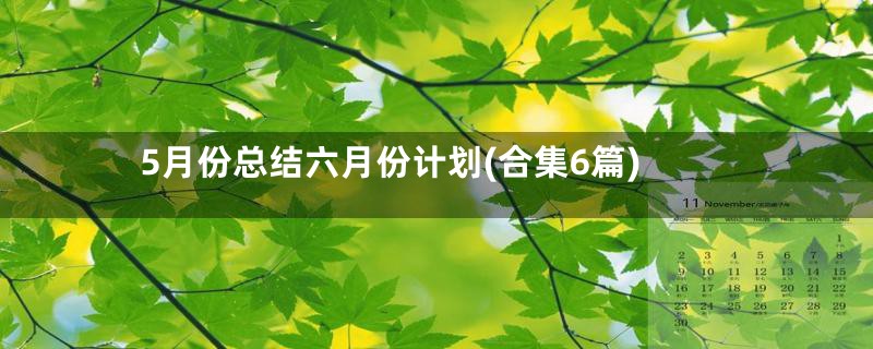 5月份总结六月份计划(合集6篇)
