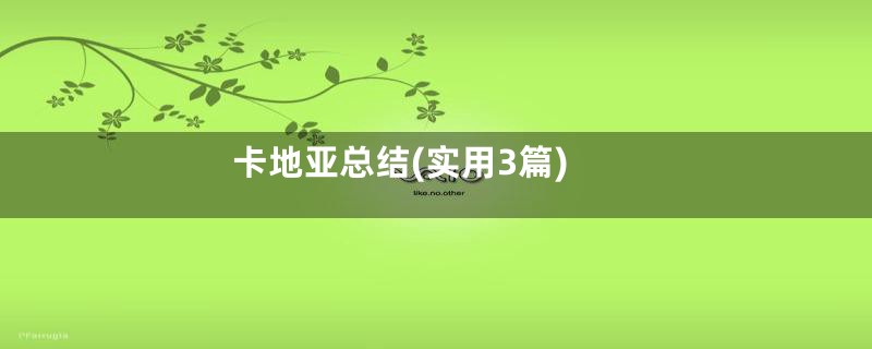 卡地亚总结(实用3篇)
