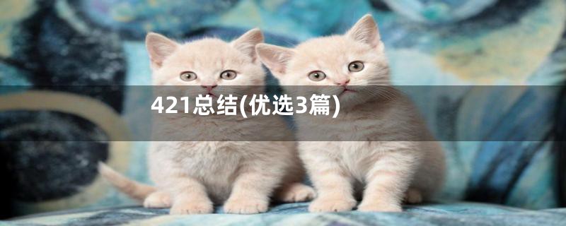 421总结(优选3篇)