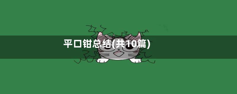 平口钳总结(共10篇)