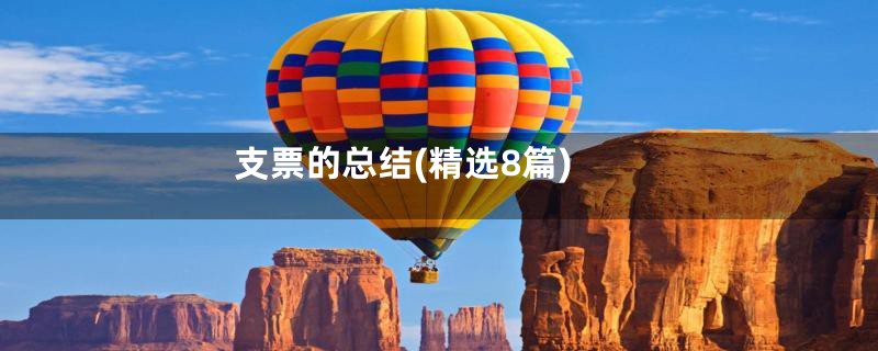 支票的总结(精选8篇)