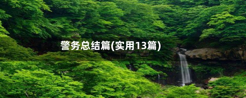 警务总结篇(实用13篇)