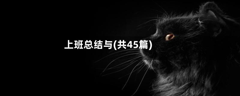 上班总结与(共45篇)