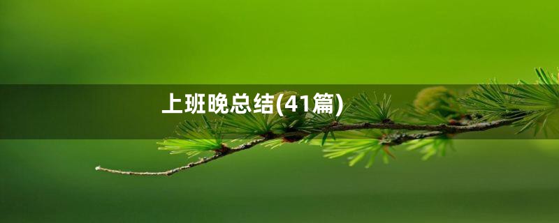 上班晚总结(41篇)