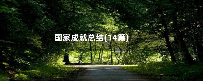 国家成就总结(14篇)