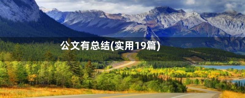 公文有总结(实用19篇)