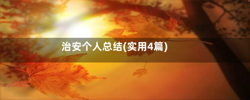 治安个人总结(实用4篇)