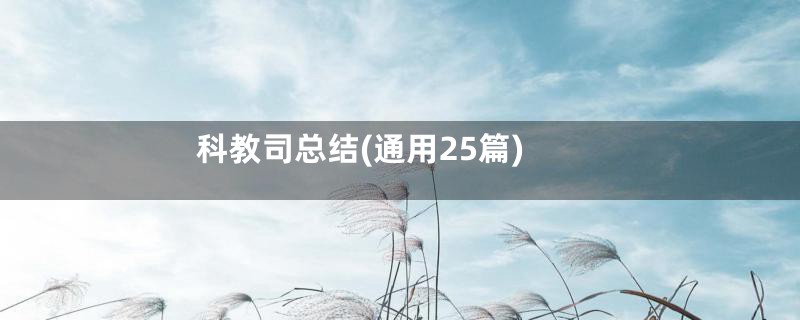 科教司总结(通用25篇)