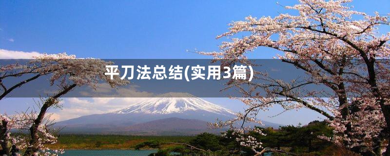 平刀法总结(实用3篇)
