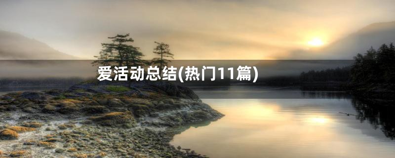 爱活动总结(热门11篇)