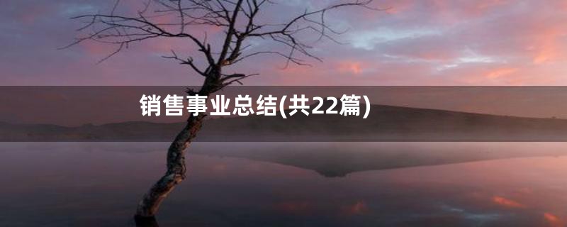 销售事业总结(共22篇)