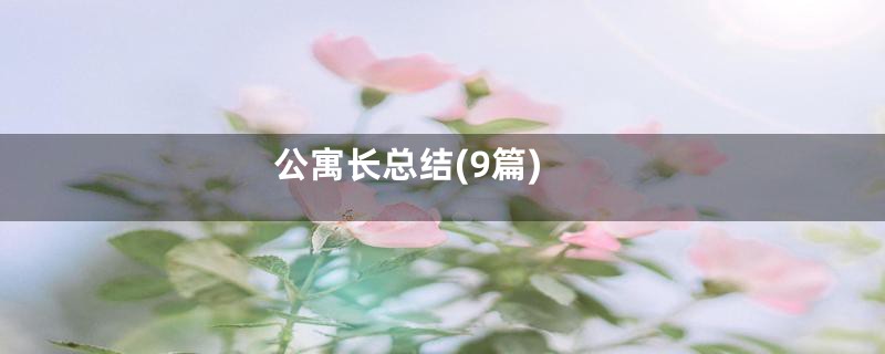 公寓长总结(9篇)