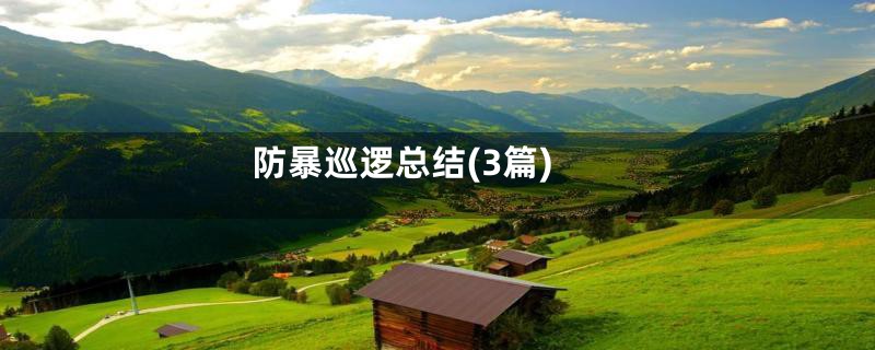 防暴巡逻总结(3篇)