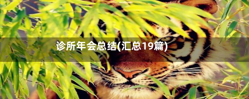诊所年会总结(汇总19篇)
