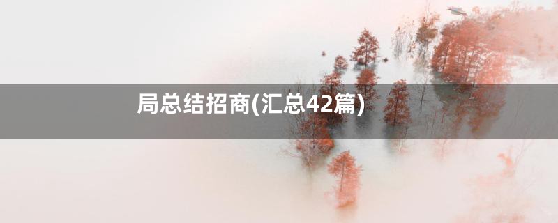 局总结招商(汇总42篇)