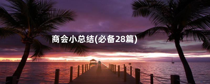 商会小总结(必备28篇)