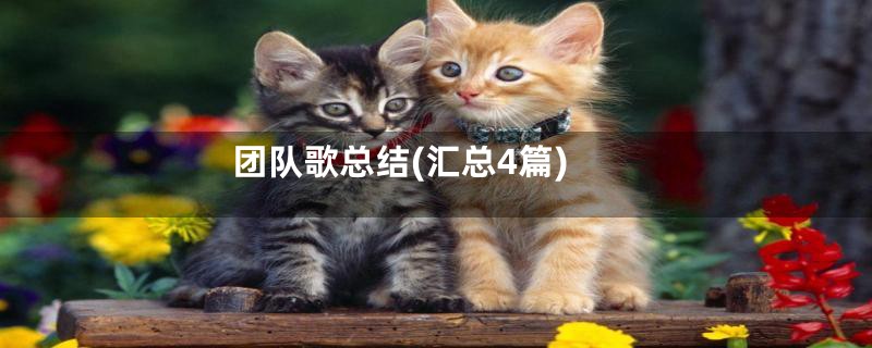 团队歌总结(汇总4篇)
