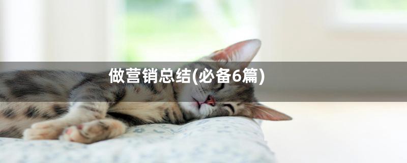 做营销总结(必备6篇)