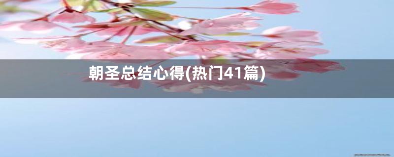 朝圣总结心得(热门41篇)