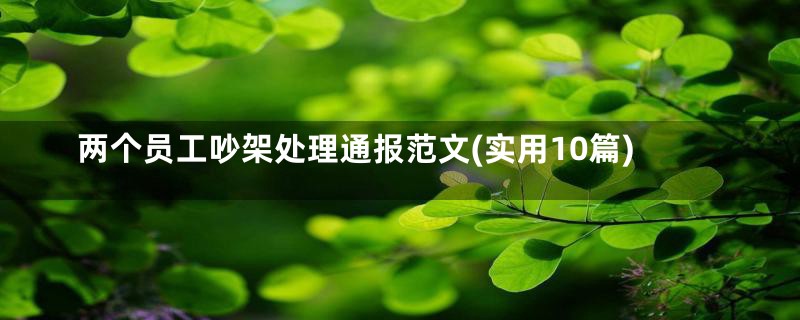 两个员工吵架处理通报范文(实用10篇)