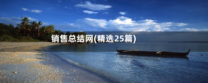 销售总结网(精选25篇)