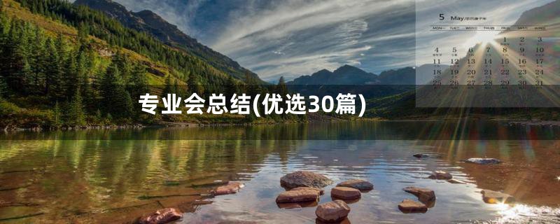 专业会总结(优选30篇)
