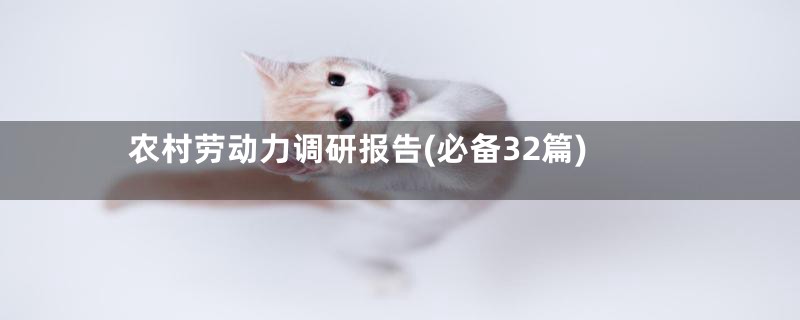 农村劳动力调研报告(必备32篇)