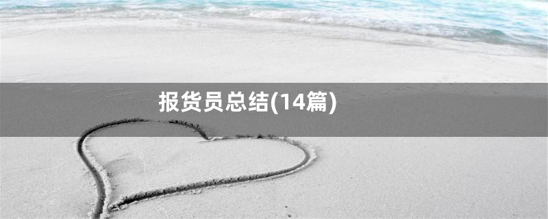 报货员总结(14篇)
