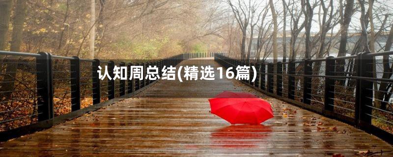 认知周总结(精选16篇)