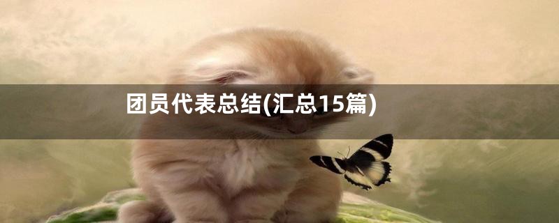 团员代表总结(汇总15篇)