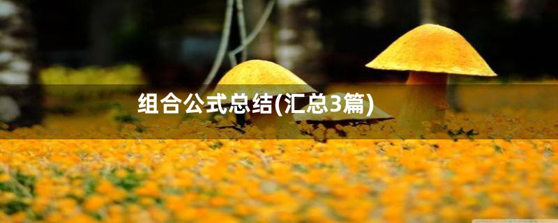 组合公式总结(汇总3篇)