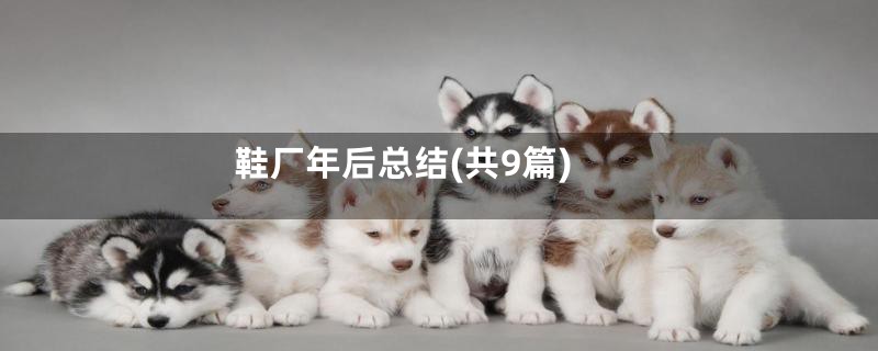 鞋厂年后总结(共9篇)