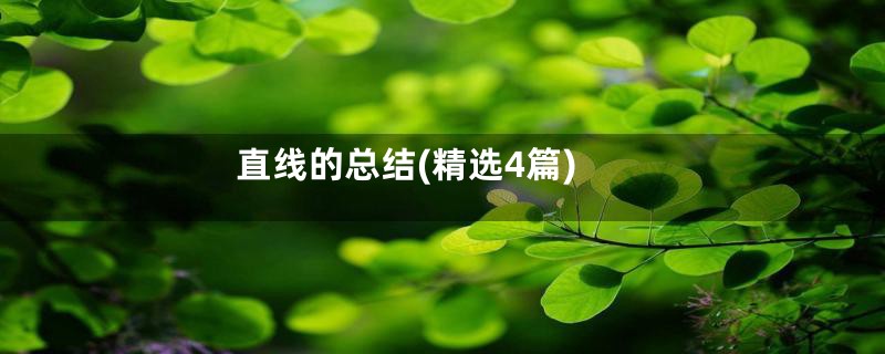 直线的总结(精选4篇)