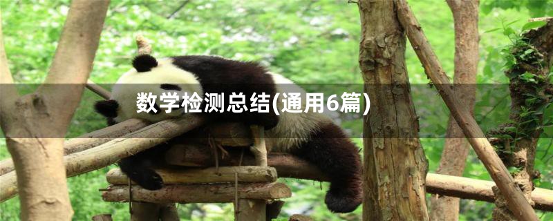 数学检测总结(通用6篇)