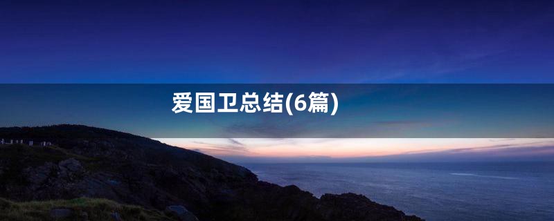 爱国卫总结(6篇)