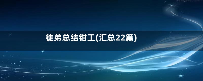徒弟总结钳工(汇总22篇)