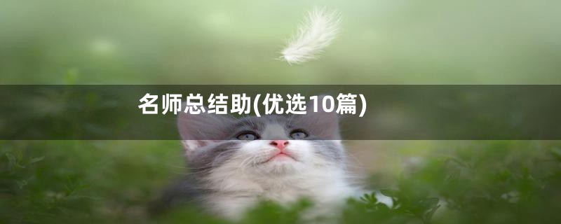 名师总结助(优选10篇)
