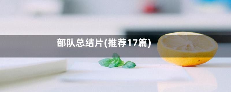 部队总结片(推荐17篇)